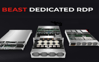 New Beast Dedicated RDP to Server Migration: King of the castle for business!
