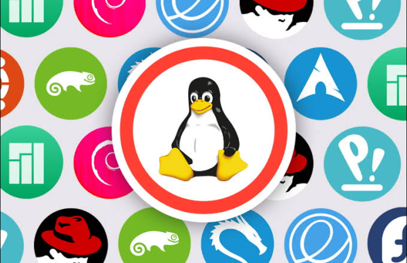 Linux Distros with HOMERDP 